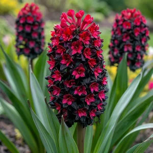 Гиацинт Джем Стоун купить по цене от 2099р. в интернет-магазине «Посадика» с доставкой почтой в в Изобильныйе и по всей России – [изображение №1].